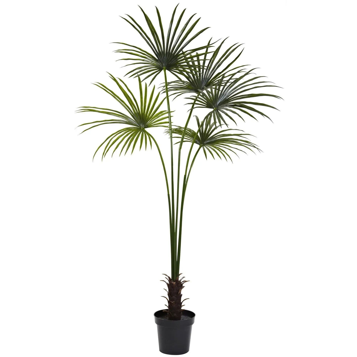 7 ft fan palm tree Nearly Natural artificial green UV resistant indoor outdoor in black pot on Tampa Home & Garden Store