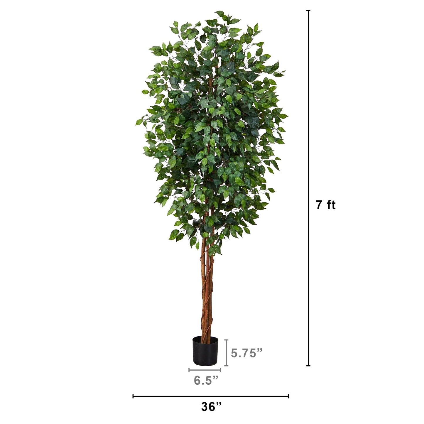 Árbol de seda ficus de 7 pies