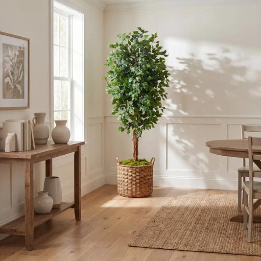 Ficus en soie de 7 pieds