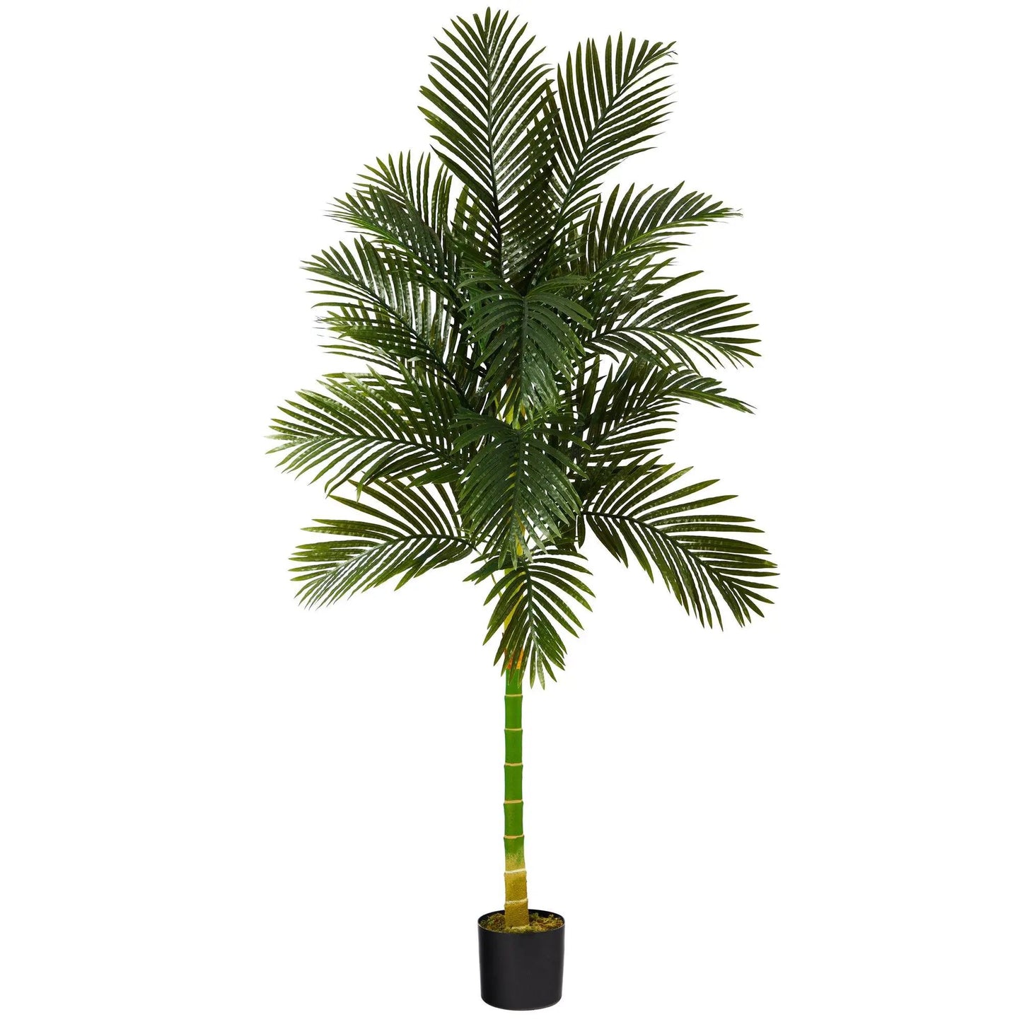 Golden Cane Artificial Palm Tree 7 ft tall Nearly Natural green fronds in black planter on Tampa Home & Garden Store