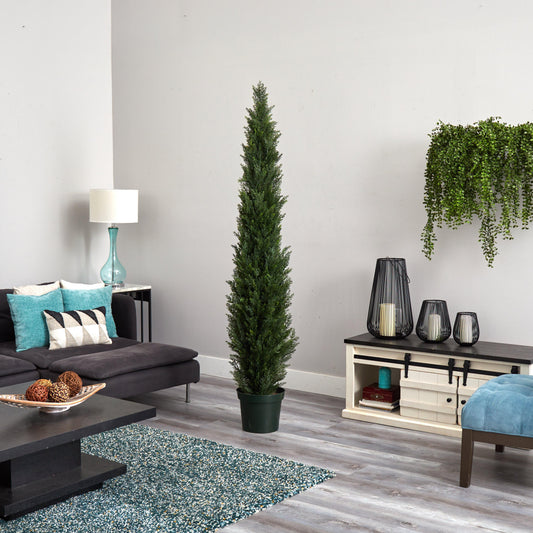 7' Mini Cedar Pine Tree (Indoor/Outdoor) - Tampa Home & Garden Store