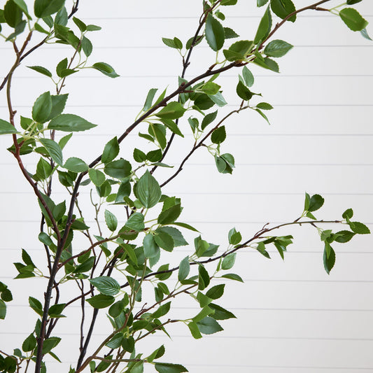 7' Minimalist Citrus Artificial Tree - Tampa Home & Garden Store