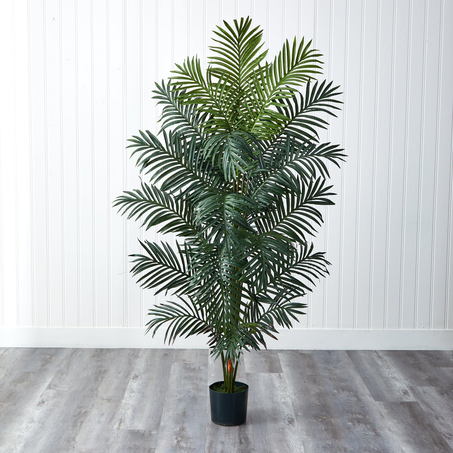 7' Paradise Palm Nearly Natural artificial palm tree in black pot on Tampa Home & Garden Store