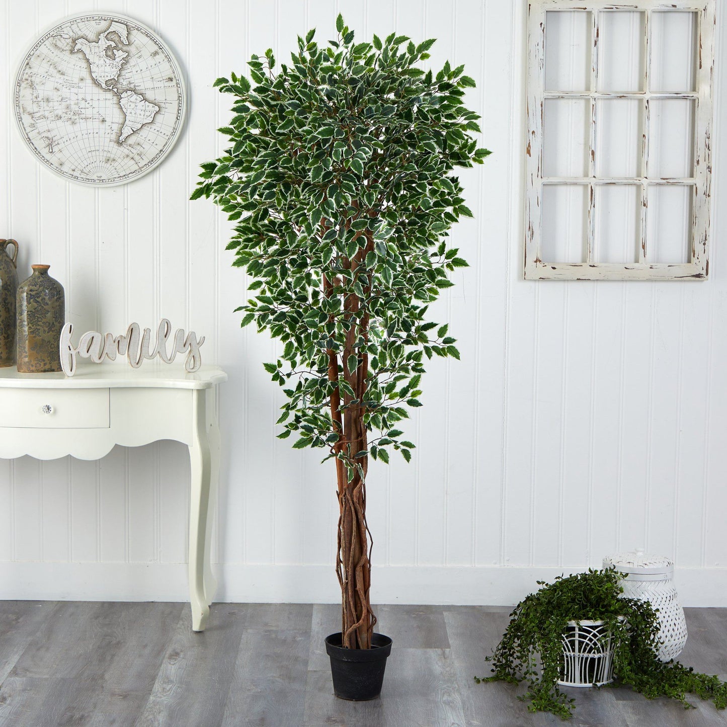 70 inch variegated ficus artificial tree with white-edged green leaves in a black pot on Tampa Home & Garden Store