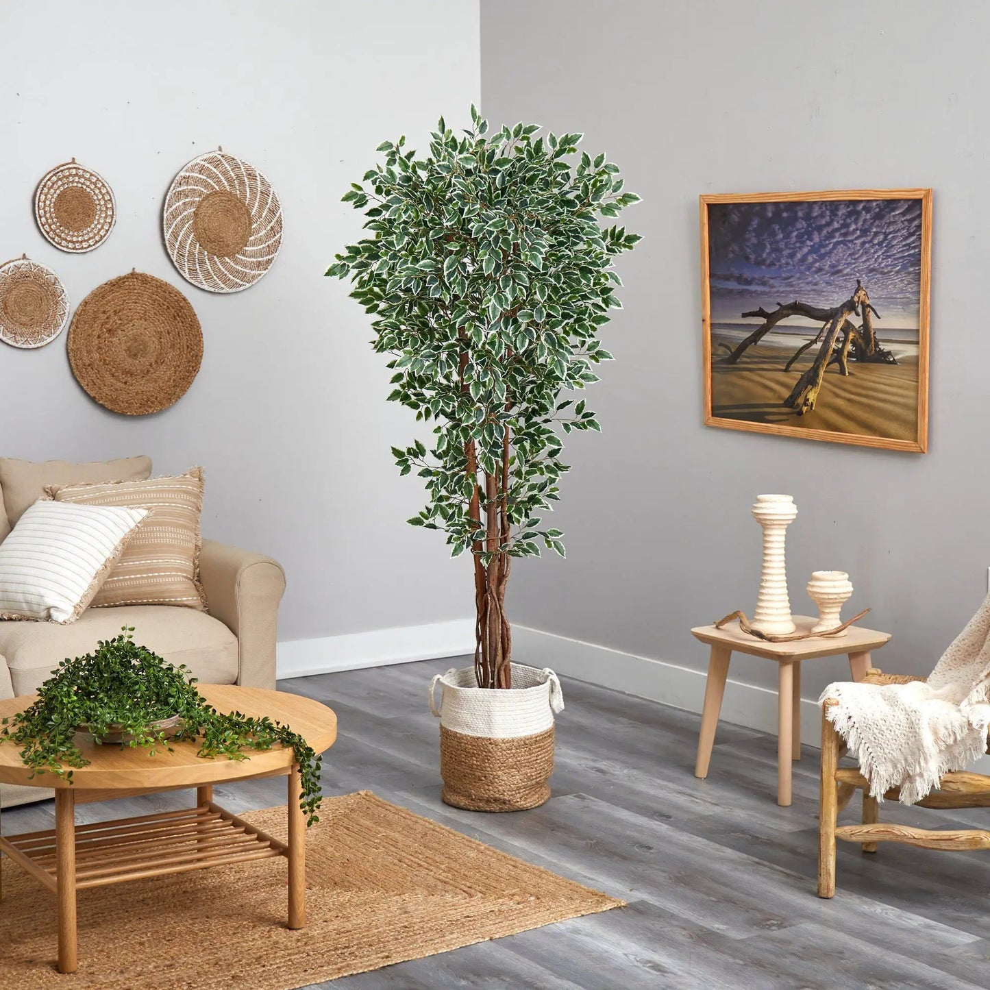 Variegated Ficus Tree in Jute and Cotton Planter, Nearly Natural artificial tree on Tampa Home & Garden Store
