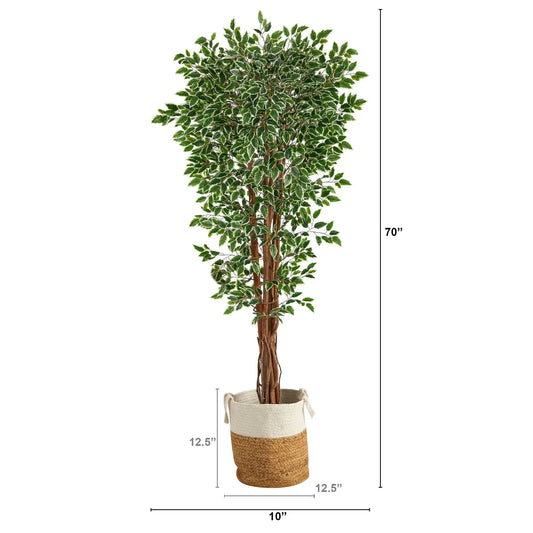 Variegated Ficus Tree in Jute-Cotton Planter, Nearly Natural tree with green-cream leaves on Tampa Home & Garden Store