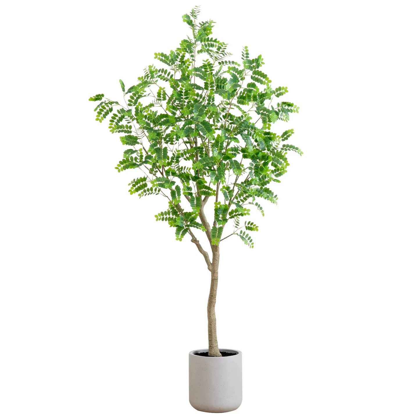 Greco Locust Citrus Tree, artificial, 7.5 ft tall in decorative light-gray planter on Tampa Home & Garden Store