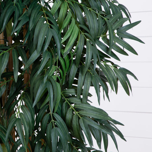 7.5’ Phoenix Palm Tree - Tampa Home & Garden Store