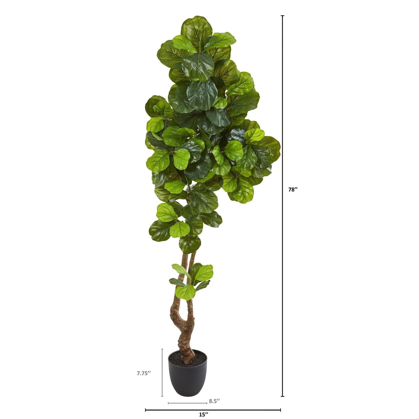 78-inch Fiddle Leaf Artificial Tree Real Touch leaves in black pot by Nearly Natural on Tampa Home & Garden Store