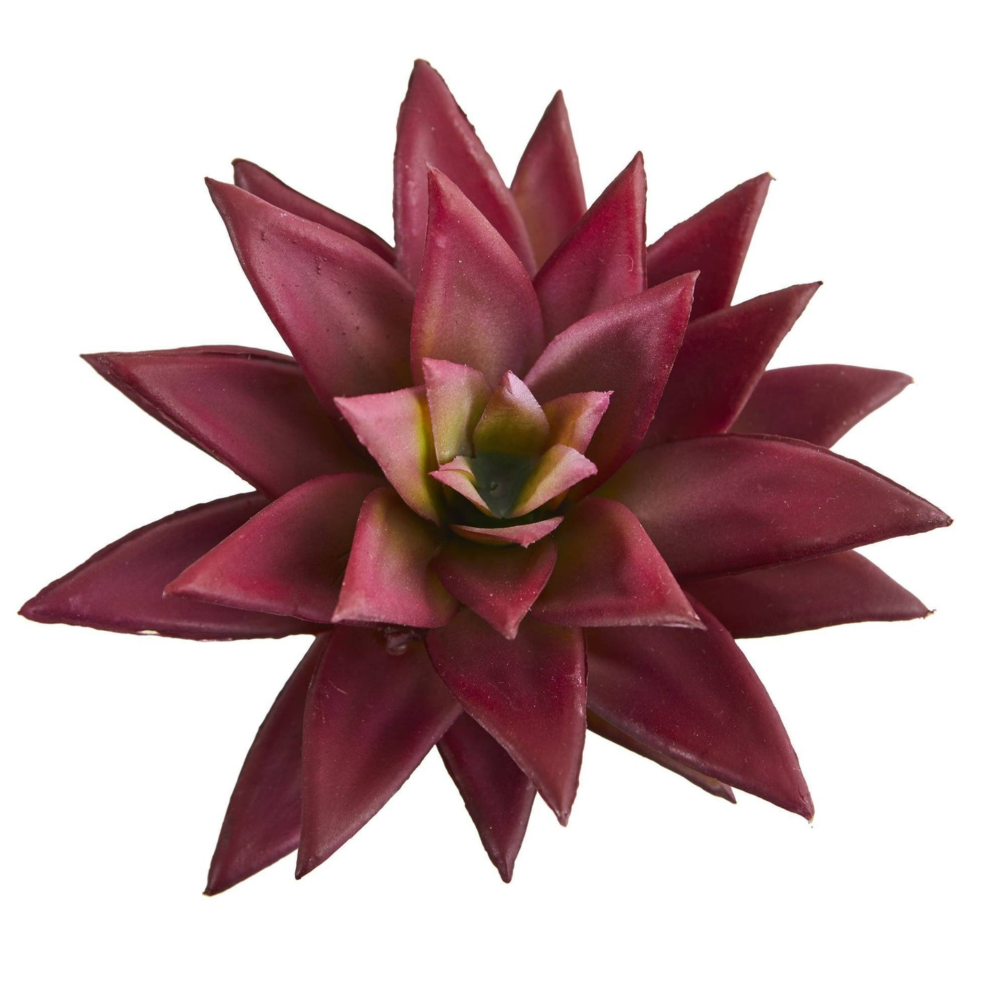 8in artificial agave succulent burgundy leaves Nearly Natural set of 12 on Tampa Home & Garden Store
