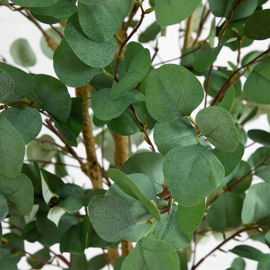 Eight Foot Lifelike Artificial Eucalyptus Tree Nearly Natural green leaves on brown stems on Tampa Home & Garden Store