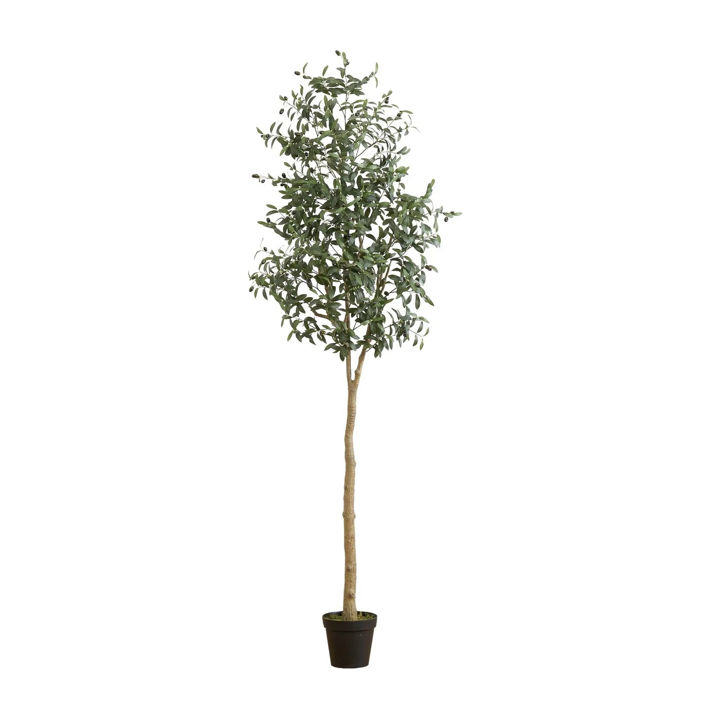 8 Foot Artificial Olive Tree by Nearly Natural in a brown planter for home decor on Tampa Home & Garden Store