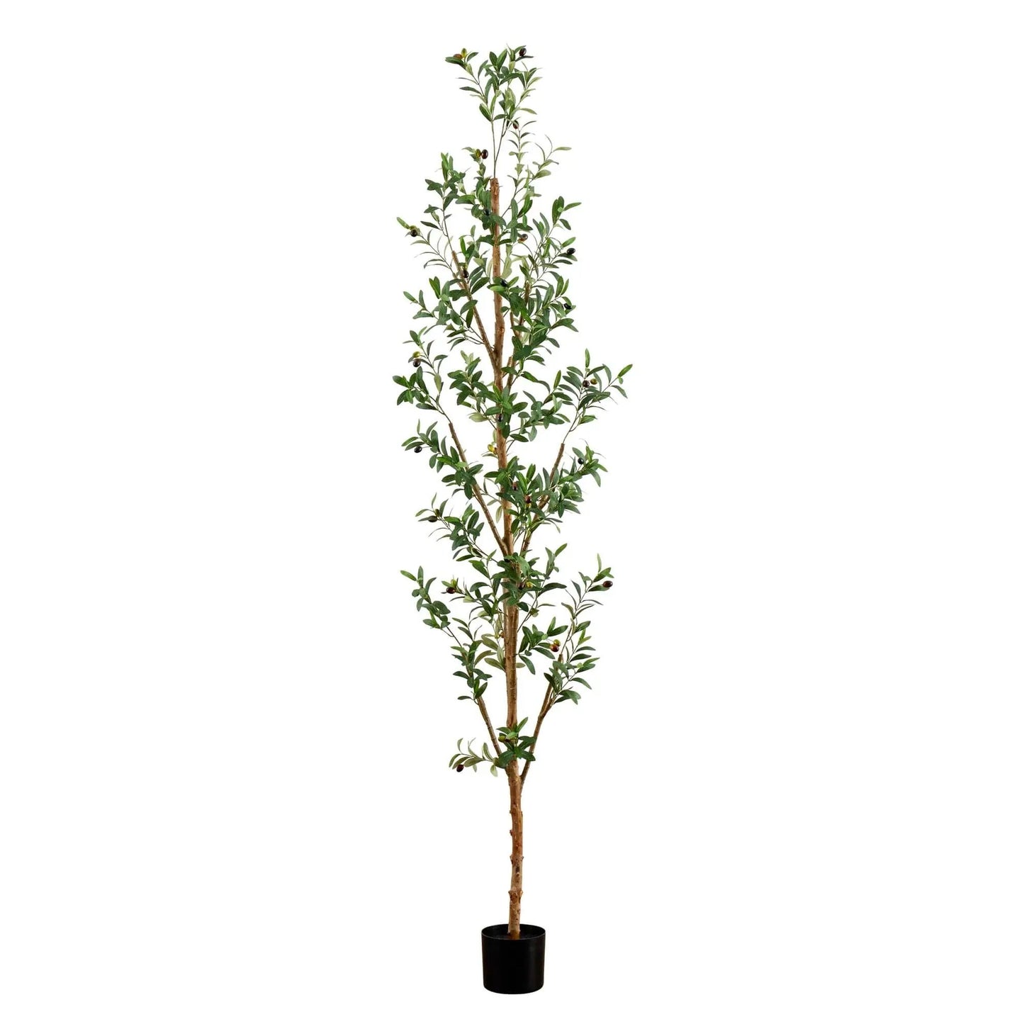 Artificial Olive Tree with Natural Trunk, 8 ft tall, Nearly Natural, green foliage in black pot on Tampa Home & Garden Store