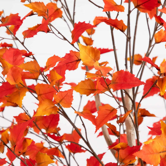 Autumn Birch Artificial Fall Tree 8 ft with orange leaves Nearly Natural on Tampa Home & Garden Store