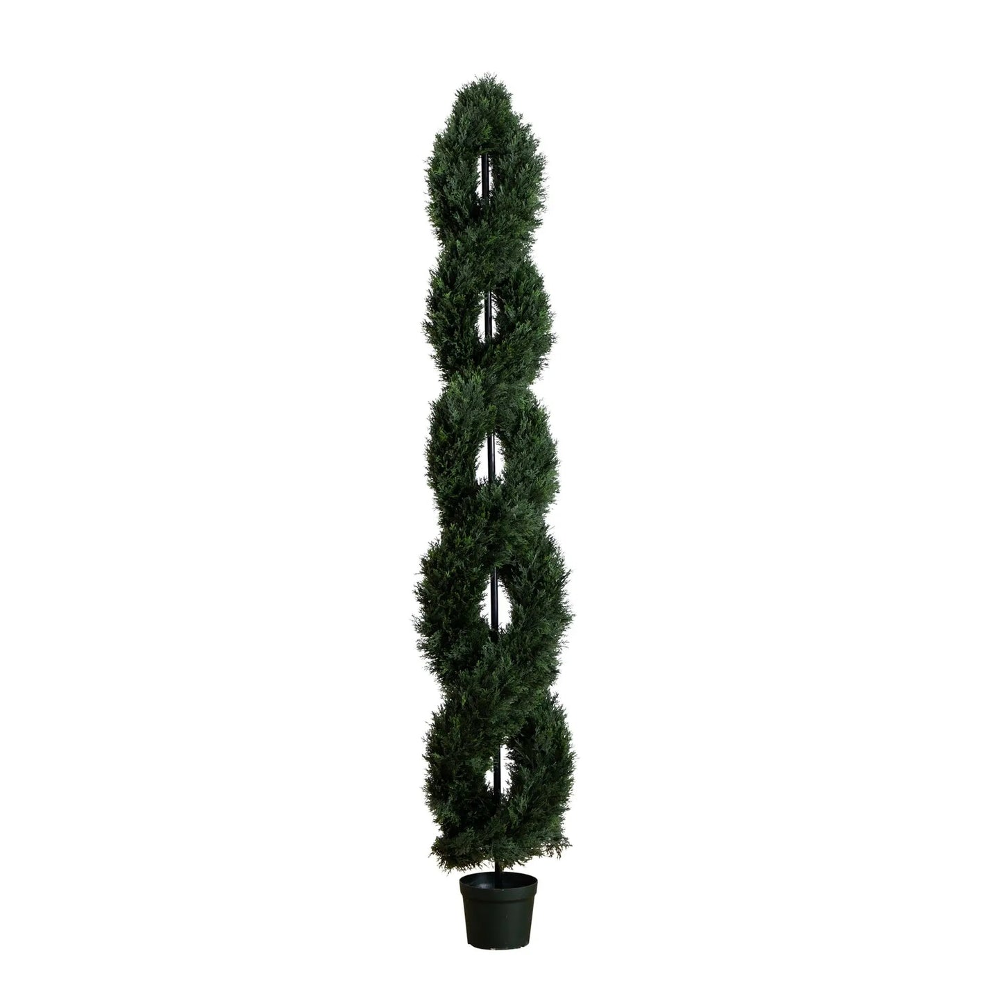 8 ft Spiral Cypress Topiary in pot UV resistant indoor outdoor on Tampa Home & Garden Store