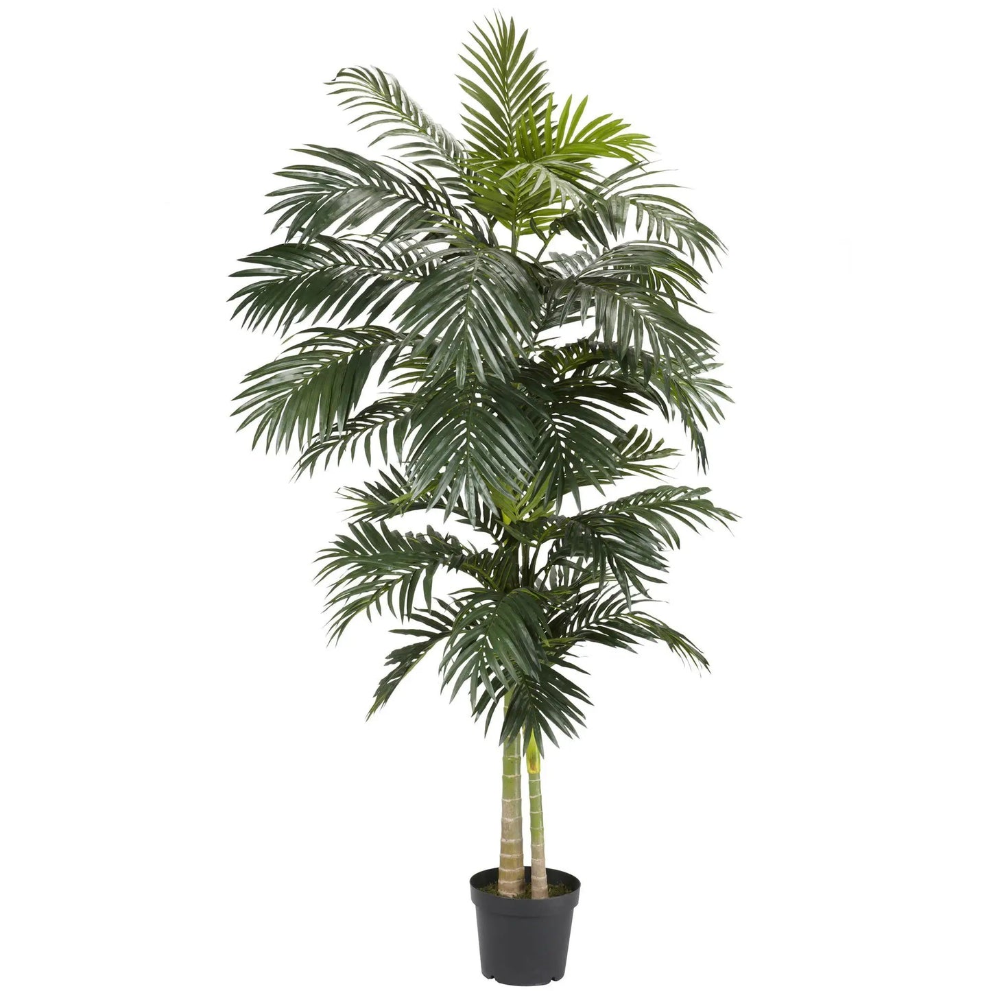8 ft Golden Cane Palm Silk Tree by Nearly Natural with lush green fronds in a black planter on Tampa Home & Garden Store