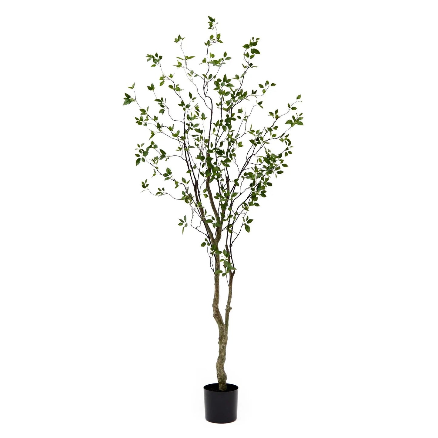 Nearly Natural Minimalist Citrus Artificial Tree 8ft in black planter on Tampa Home & Garden Store