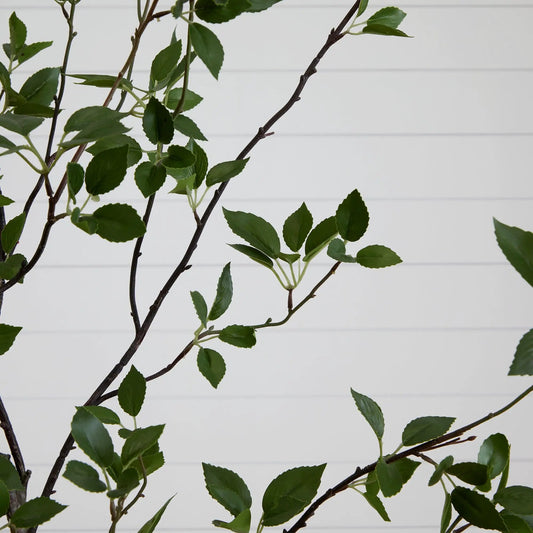 Minimalist Citrus artificial tree Nearly Natural 8ft with dark branches and green leaves on Tampa Home & Garden Store
