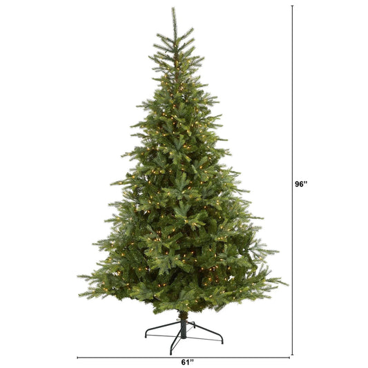 8’ North Carolina Spruce Artificial Christmas Tree with 650 Clear Lights and 1303 Bendable Branches - Tampa Home & Garden Store