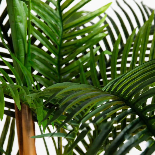 8 ft UV resistant double Robellini palm tree artificial with green fronds and brown trunk on Tampa Home & Garden Store