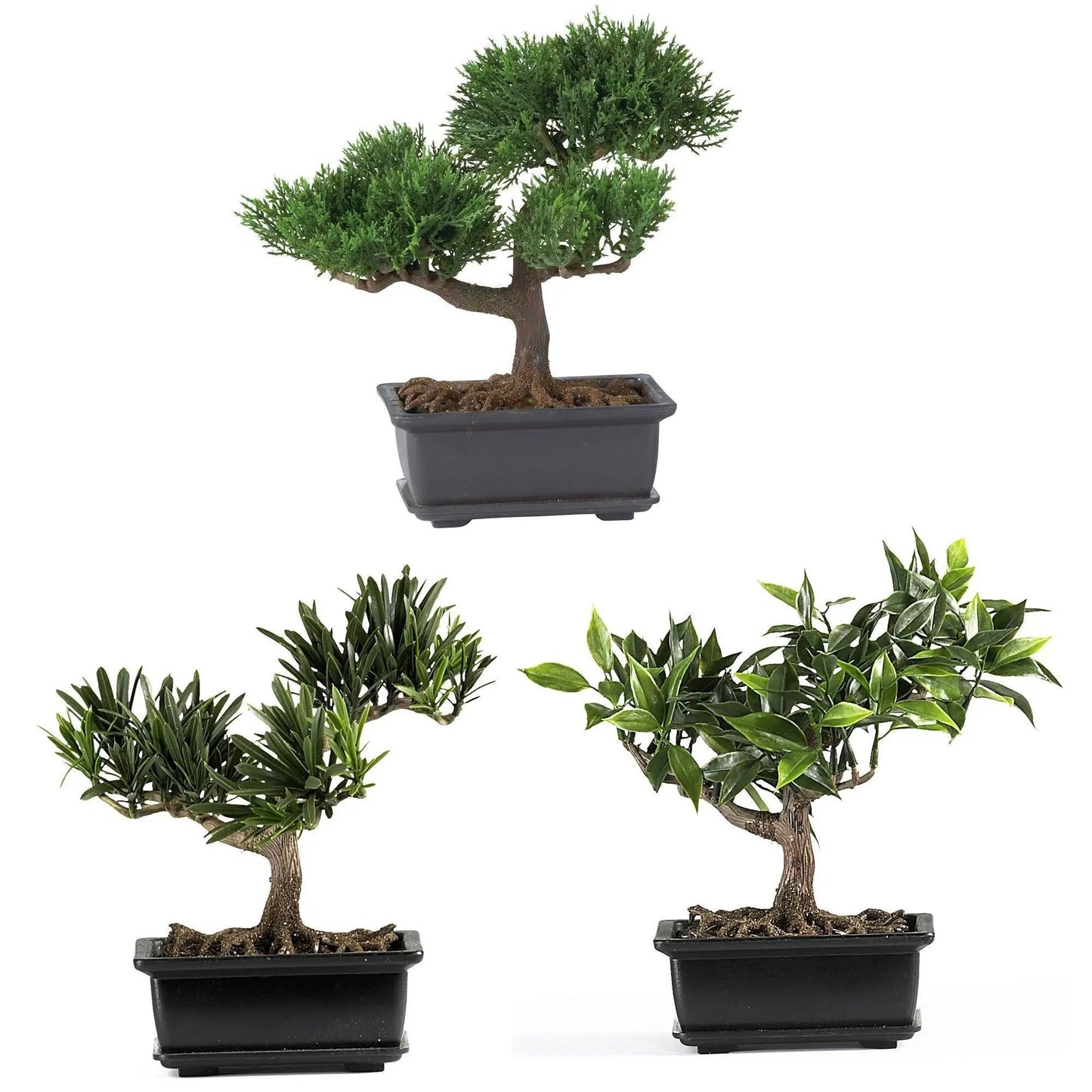 3-pack Nearly Natural 8.5in silk bonsai trees in rectangular pots on Tampa Home & Garden Store