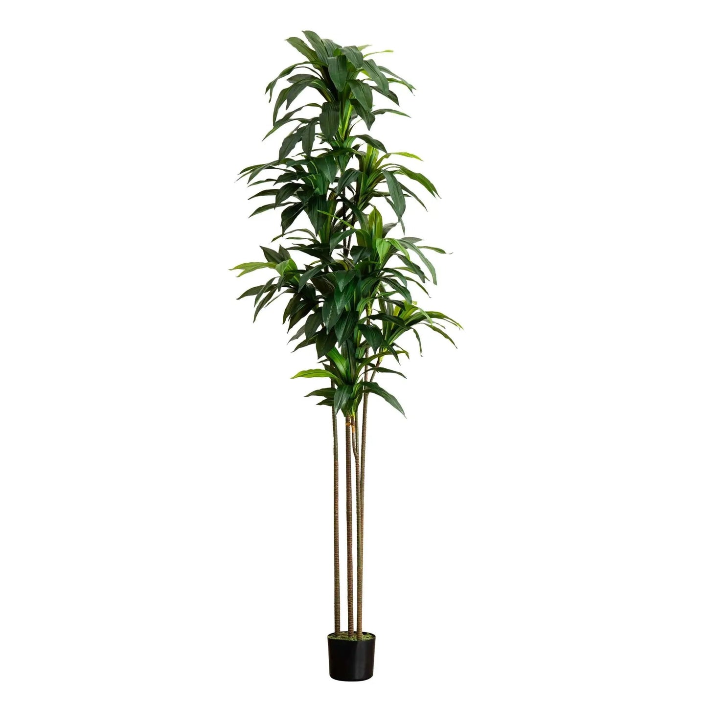 Artificial Dracaena Tree with Real Touch Leaves by Nearly Natural in a black pot on Tampa Home & Garden Store