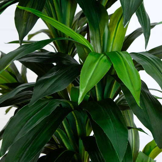 Nearly Natural Artificial Dracaena Tree with Real Touch Leaves, lush green foliage on Tampa Home & Garden Store