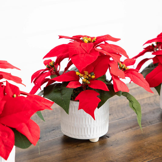 Set of 3 Nearly Natural 9in artificial poinsettia arrangements in white ceramic pots on Tampa Home & Garden Store