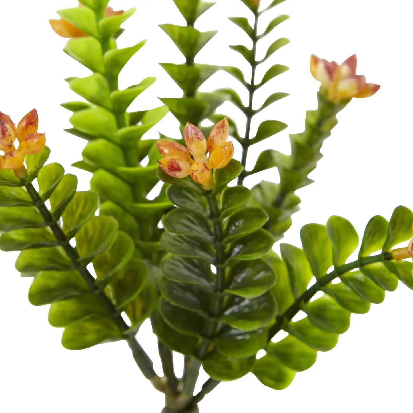 9 Inch Flowering Sedum artificial plant set of 6 with green foliage and yellow flowers on Tampa Home & Garden Store
