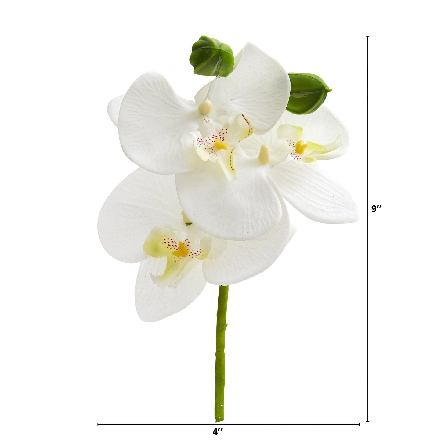 Artificial Phalaenopsis Orchid Flowers and Buds