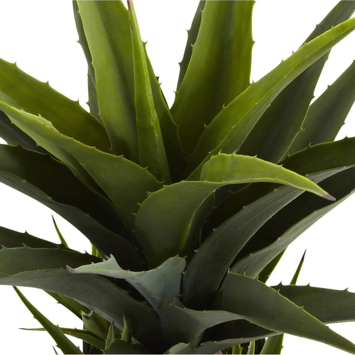 Nearly Natural artificial agave plant with dark green serrated leaves on Tampa Home & Garden Store
