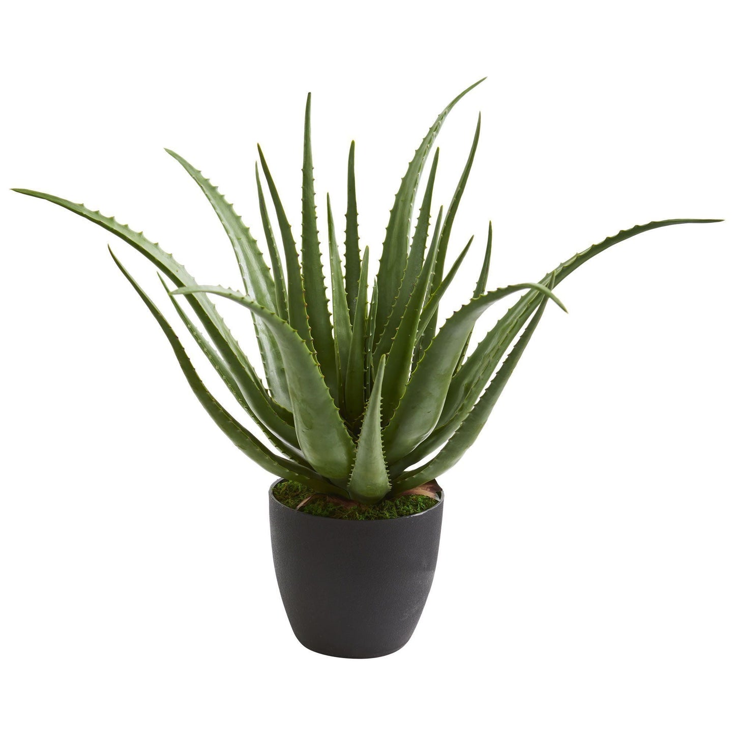 Planta de aloe artificial