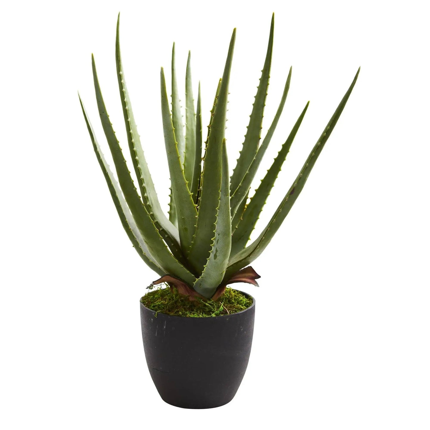 Aloe artificial plant in a black pot with moss by Nearly Natural on Tampa Home & Garden Store