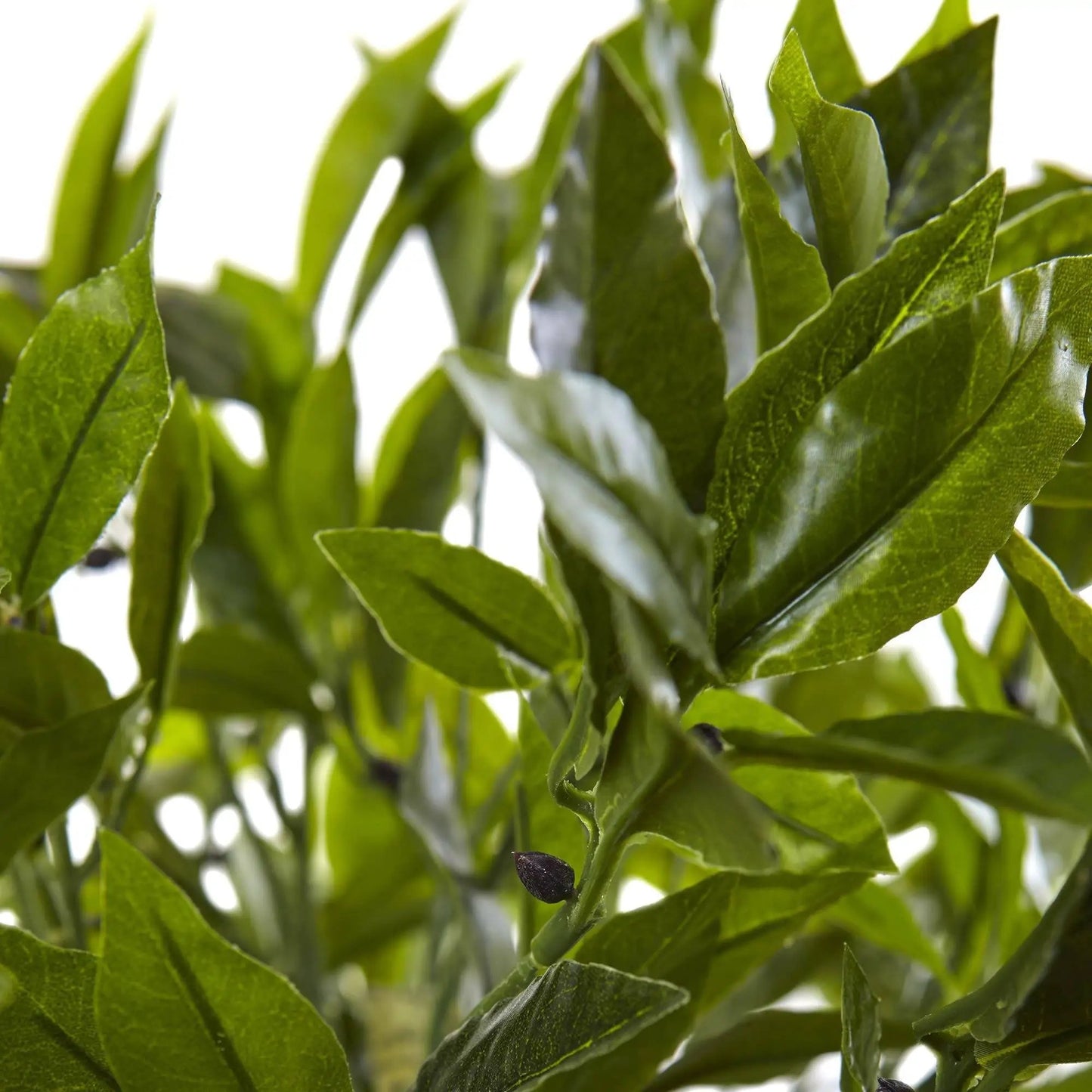 Bay Leaf Topiary in Black Planter UV Resistant artificial shrub Nearly Natural on Tampa Home & Garden Store