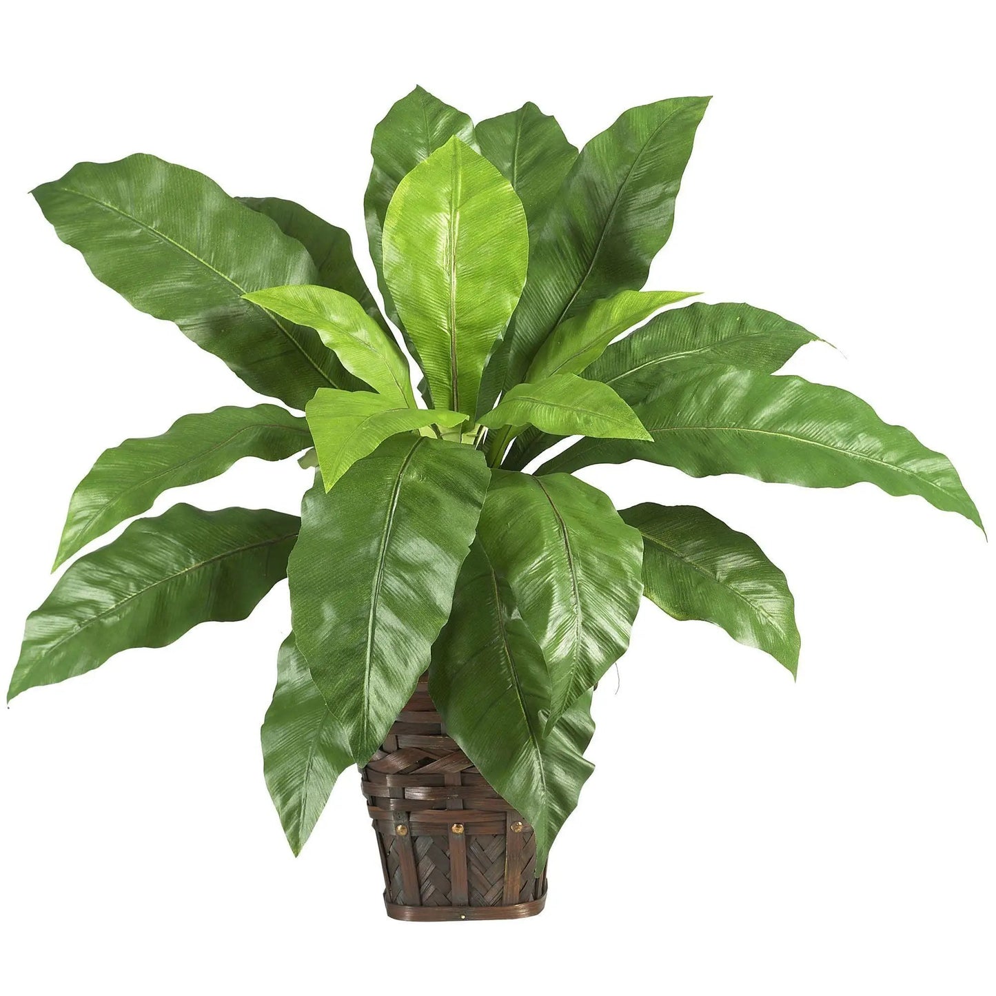 Birdsnest Fern in rustic wicker basket by Nearly Natural, artificial green foliage on Tampa Home & Garden Store