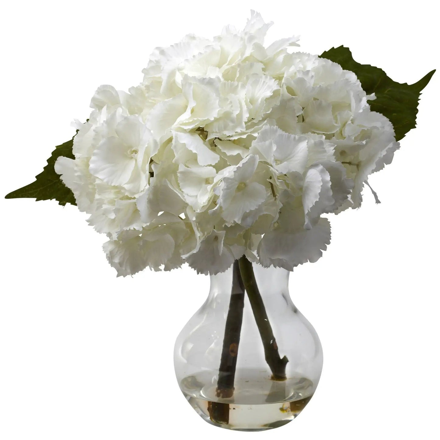 - image on Tampa Home & Garden Store