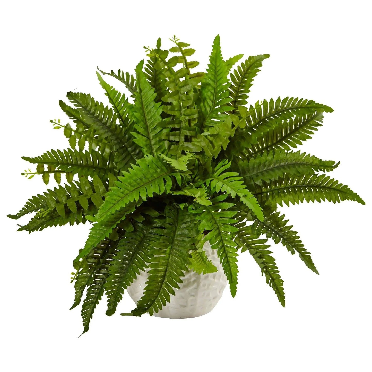 Artificial Boston Fern in White Planter by Nearly Natural with lush green fronds on Tampa Home and Garden Store