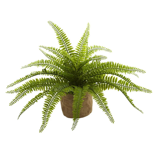 Boston Fern w/Burlap Planter (Set of 2) - Tampa Home & Garden Store
