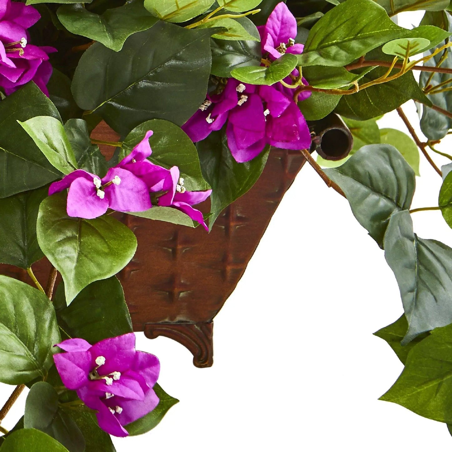Bougainvillea in metal planter with cascading magenta blooms and glossy green leaves on Tampa Home & Garden Store