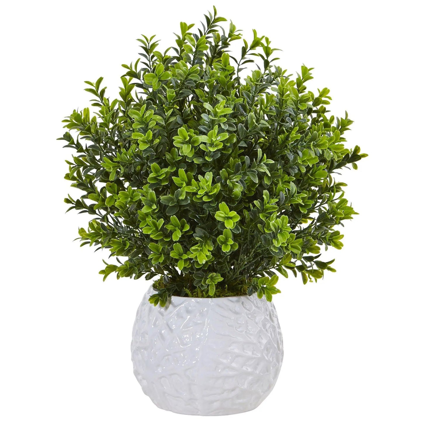 Boxwood artificial shrub in a white textured vase for indoor or outdoor use by Nearly Natural on Tampa Home & Garden Store