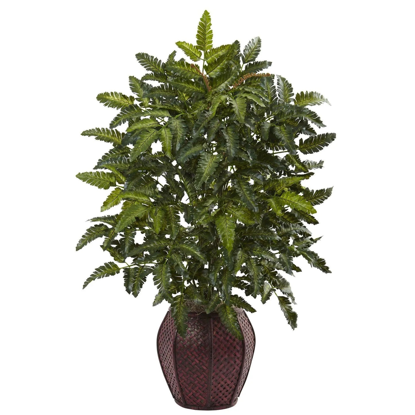 Bracken Fern with Planter Nearly Natural plant with dark green fronds in a woven basket on Tampa Home & Garden Store