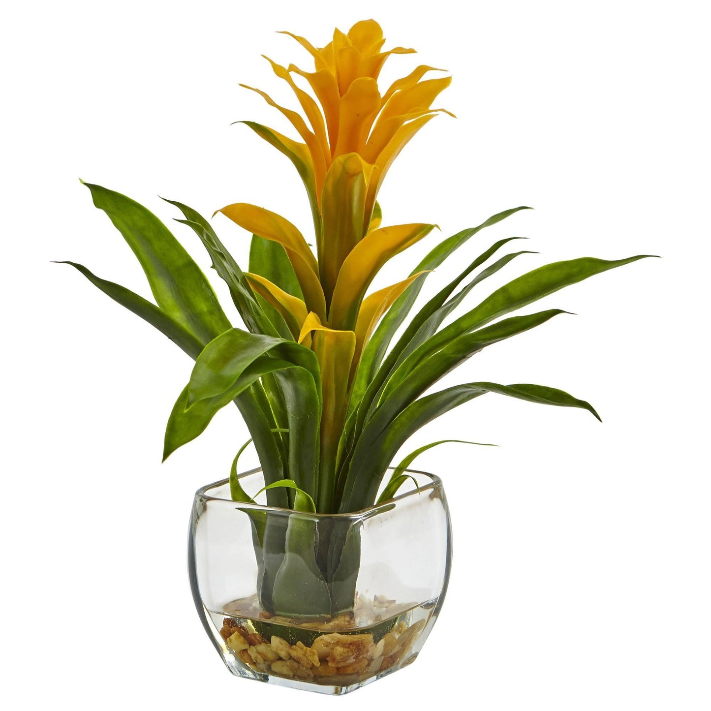 Bromélia avec arrangement dans un vase
