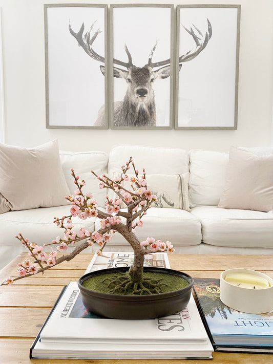 Cherry Blossom Bonsai Silk Tree - Tampa Home & Garden Store