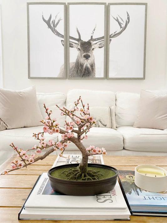 Cherry Blossom Silk Bonsai Tree with pink blossoms in a black pot on a coffee table on Tampa Home & Garden Store
