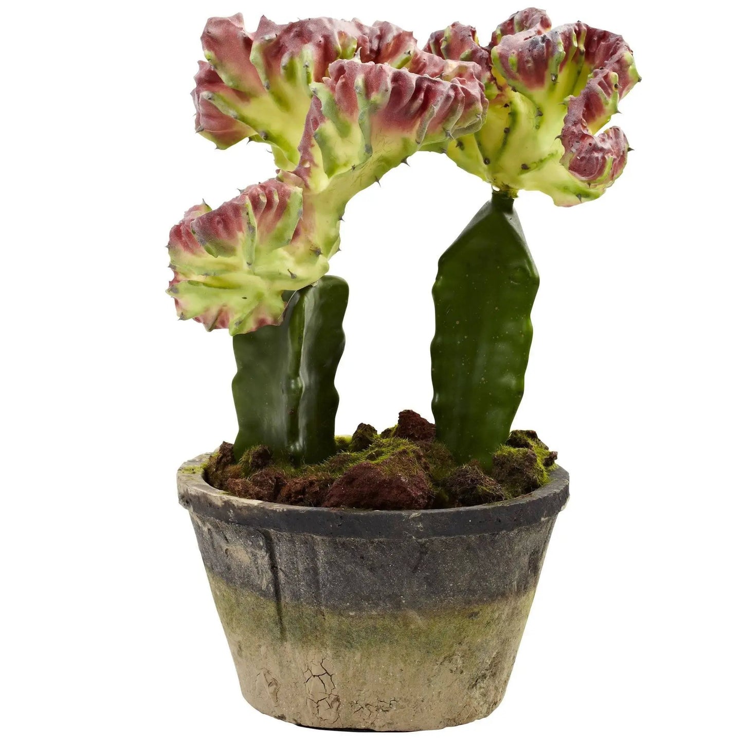 Nearly Natural Colorful Cactus Gardens Set of 2 artificial cacti in a textured gray pot on Tampa Home & Garden Store