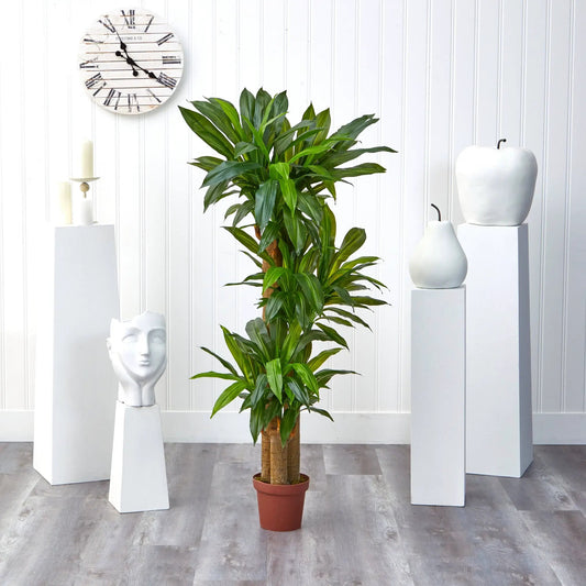 Corn Stalk Dracaena Silk Plant Real Touch in brown pot with lush green leaves on Tampa Home & Garden Store