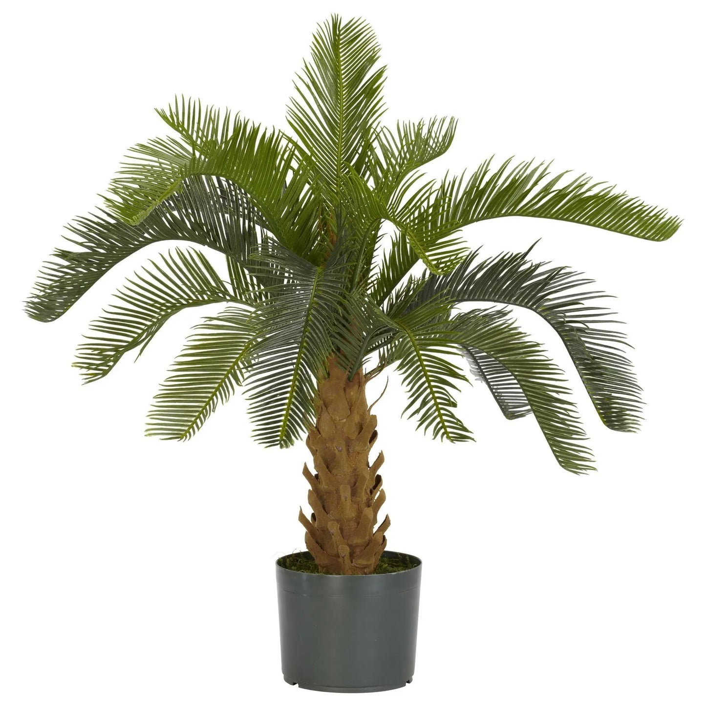 Silk Cycas Plant with brown foam trunk and green fronds in black pot Nearly Natural on Tampa Home & Garden Store
