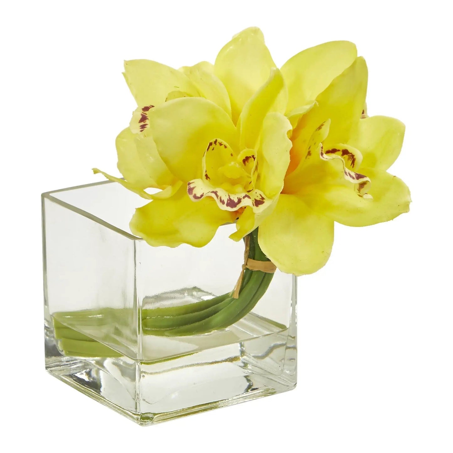 Yellow cymbidium orchid artificial arrangement in a clear glass square vase set of 2 on Tampa Home & Garden Store