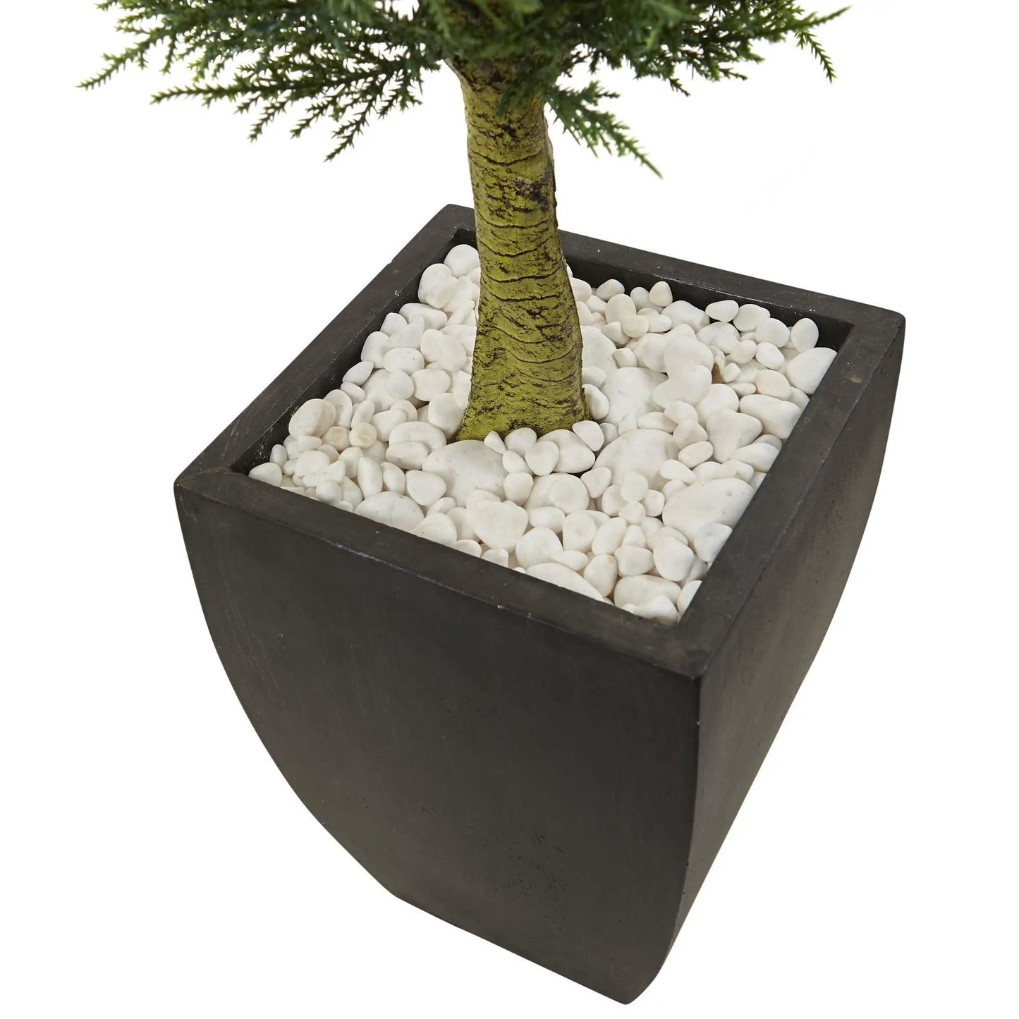 Cypress Topiary in Black Planter UV resistant Nearly Natural artificial tree with leaves on Tampa Home & Garden Store