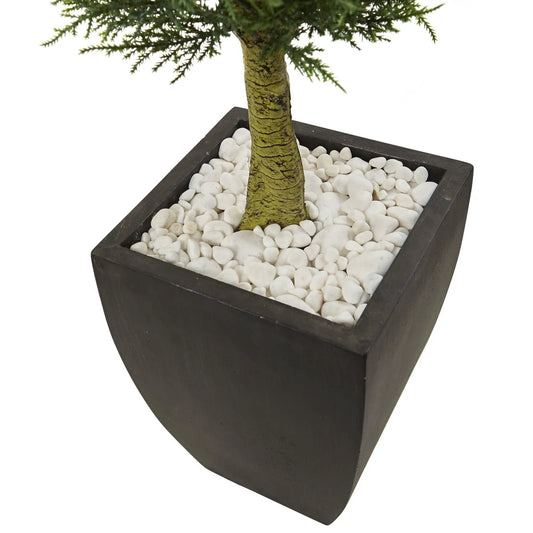 Cypress Topiary in Black Planter UV resistant Nearly Natural artificial tree with leaves on Tampa Home & Garden Store